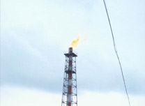 �a(ch��n)Ʒչʾ